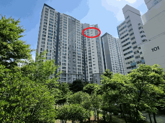 물건 사진 7