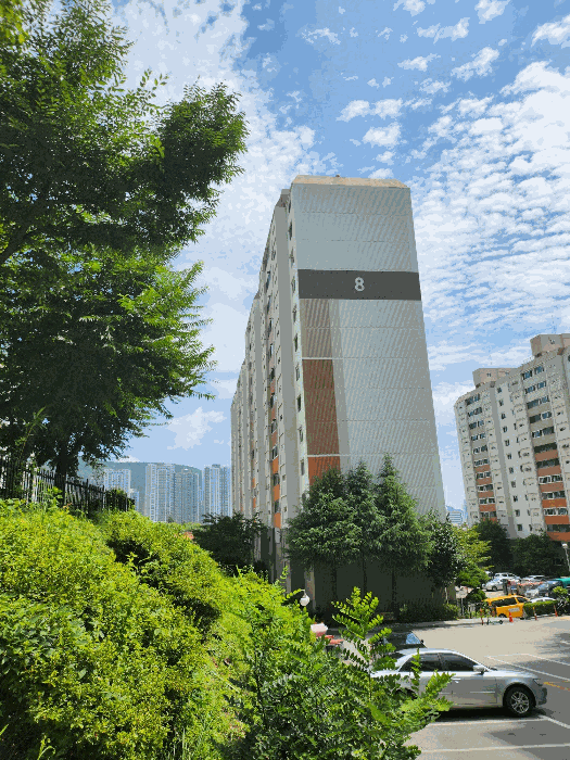물건 사진 12