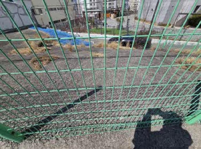 물건 사진 5