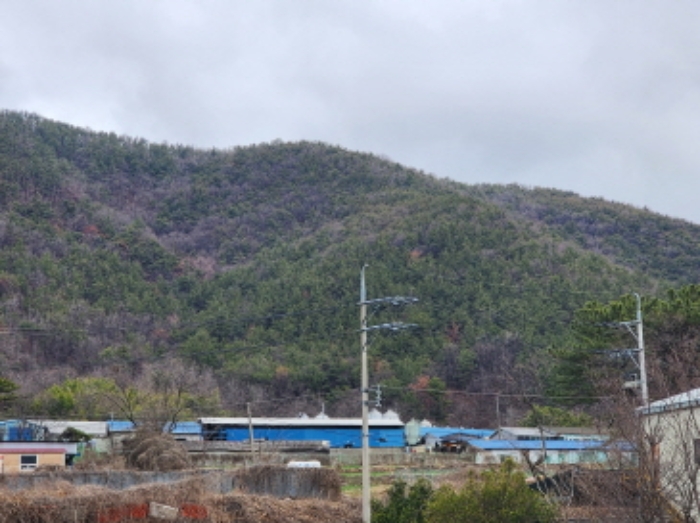 물건 사진 8