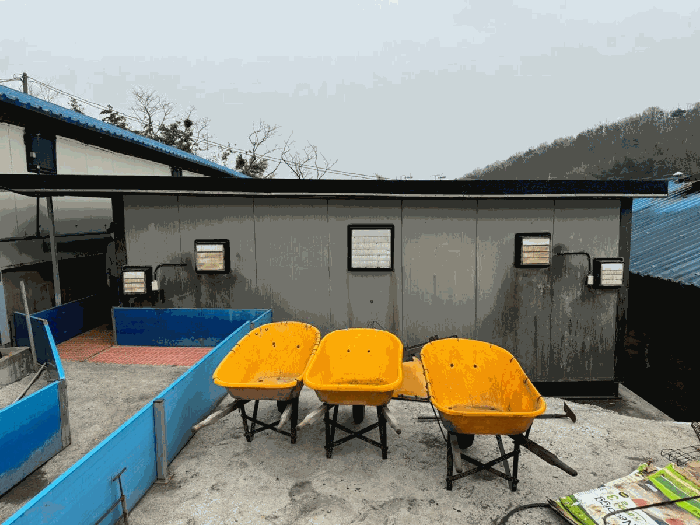 물건 사진 80