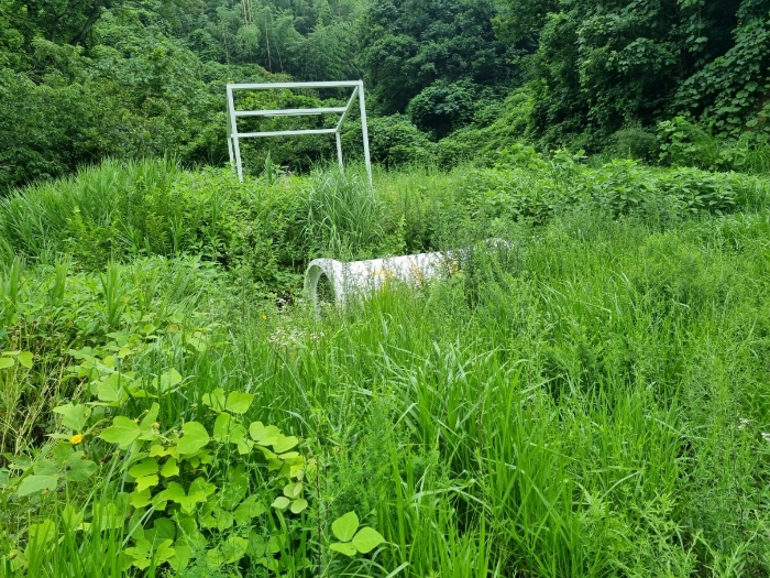 물건 사진 12