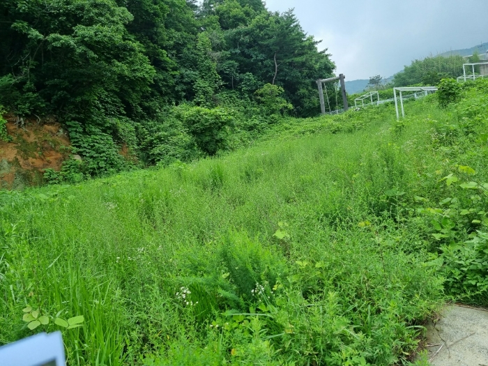물건 사진 15