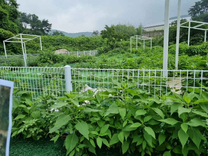 물건 사진 19