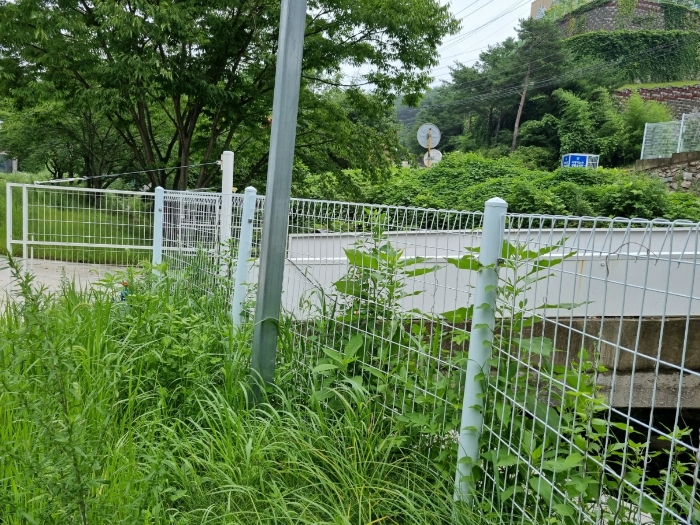 물건 사진 22