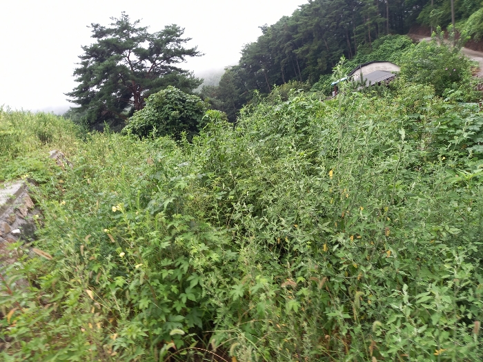 물건 사진 12