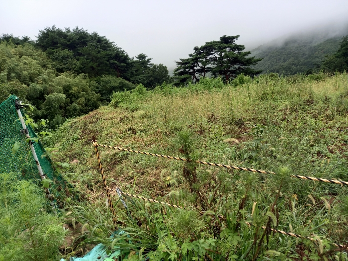 물건 사진 13