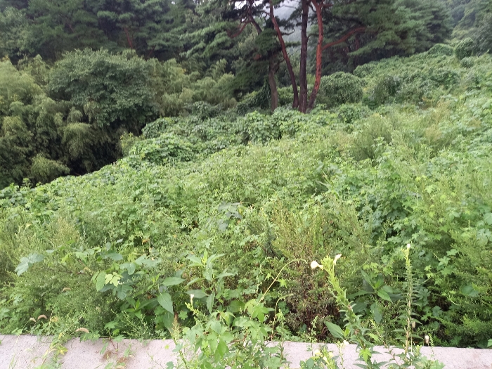 물건 사진 16