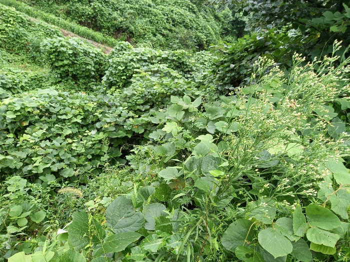 물건 사진 17