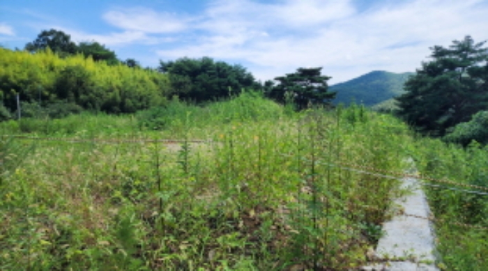 물건 사진 4