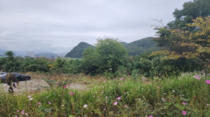 물건 사진 7