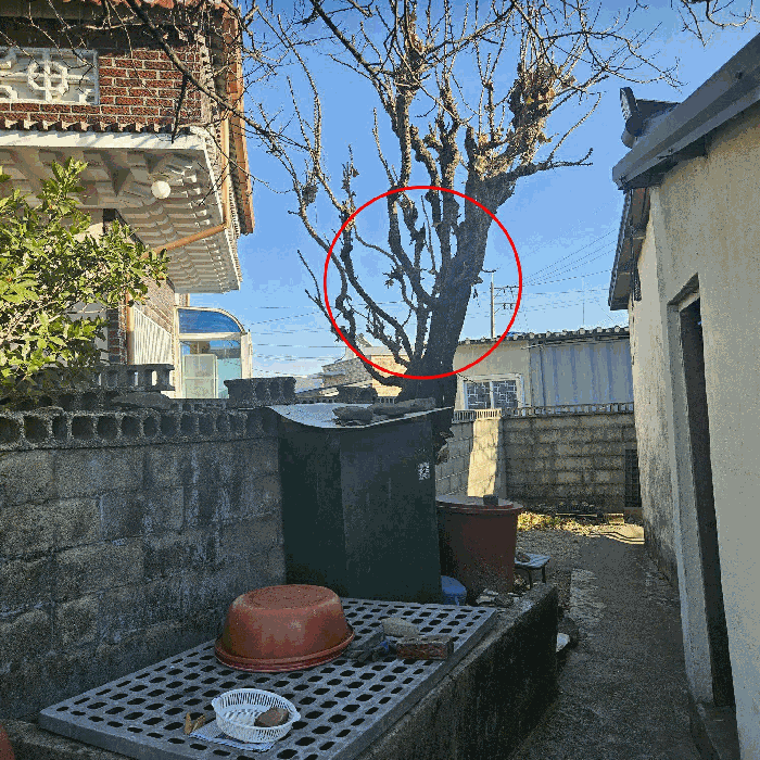 물건 사진 14