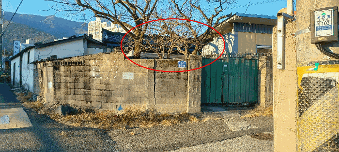 물건 사진 21