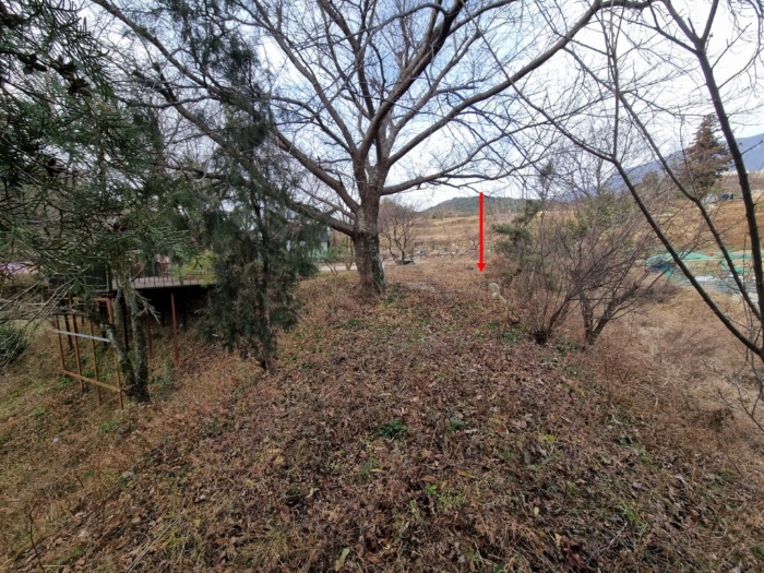 물건 사진 12