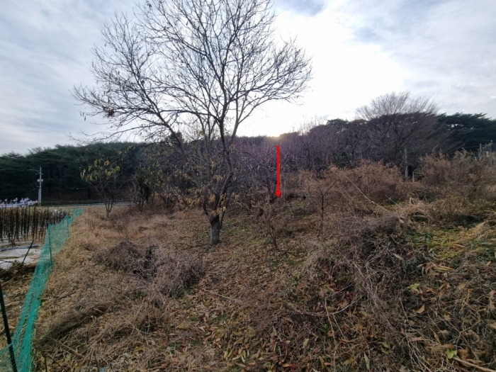 물건 사진 13