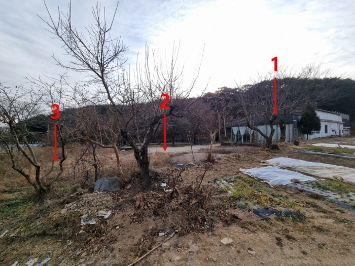 물건 사진 14