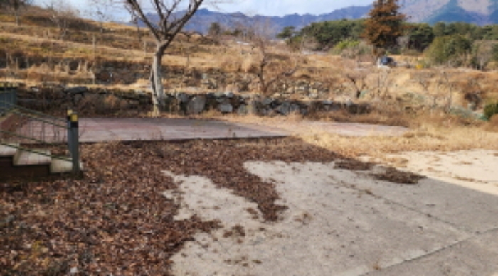 물건 사진 3