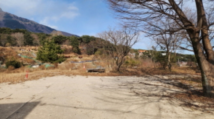 물건 사진 5