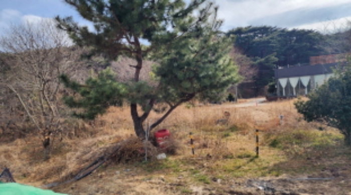 물건 사진 6