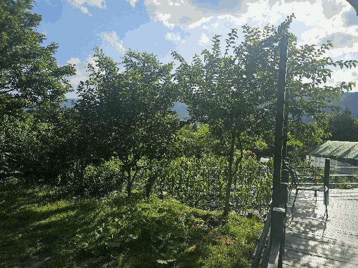 물건 사진 15