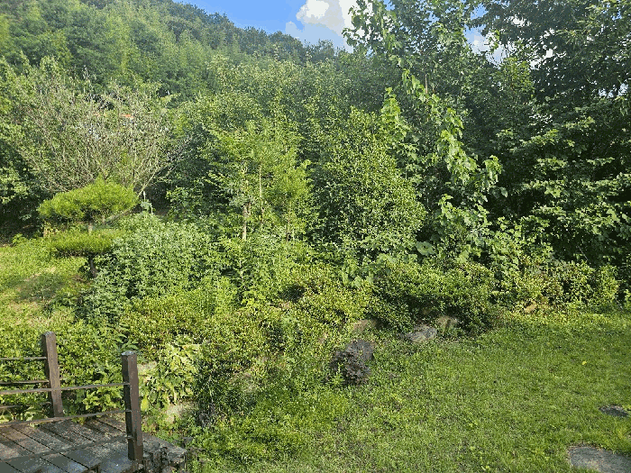 물건 사진 18
