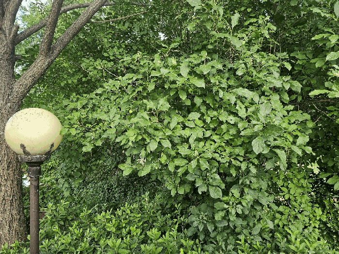 물건 사진 19
