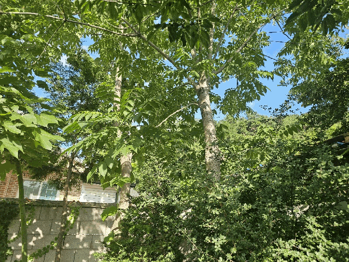 물건 사진 27