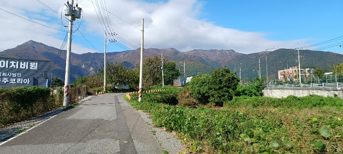 물건 사진 19