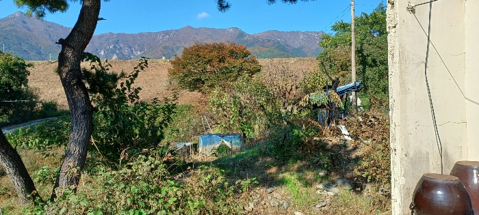 물건 사진 30