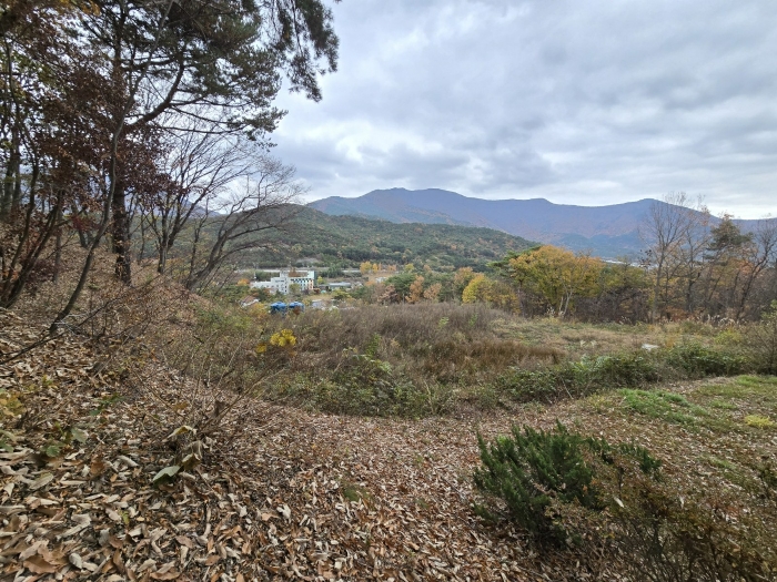 물건 사진 18