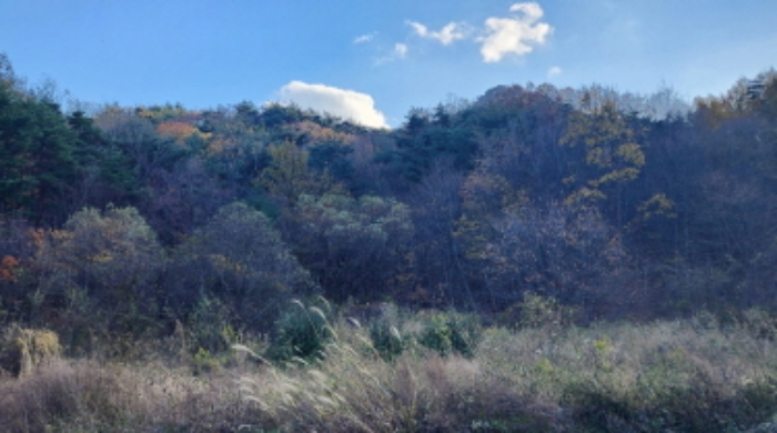 물건 사진 4
