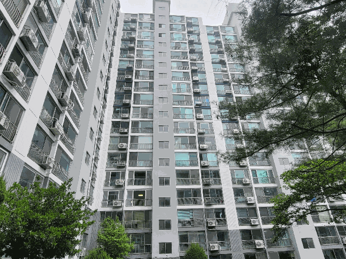 물건 사진 8