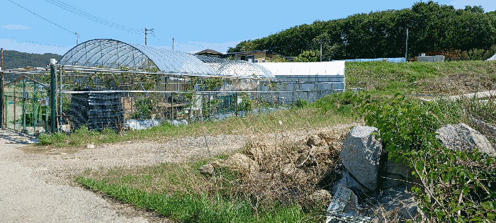 물건 사진 19
