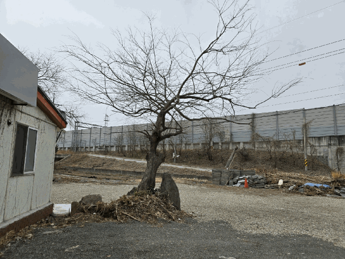 물건 사진 32