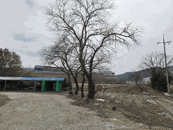 물건 사진 39
