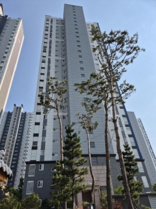 물건 사진 2