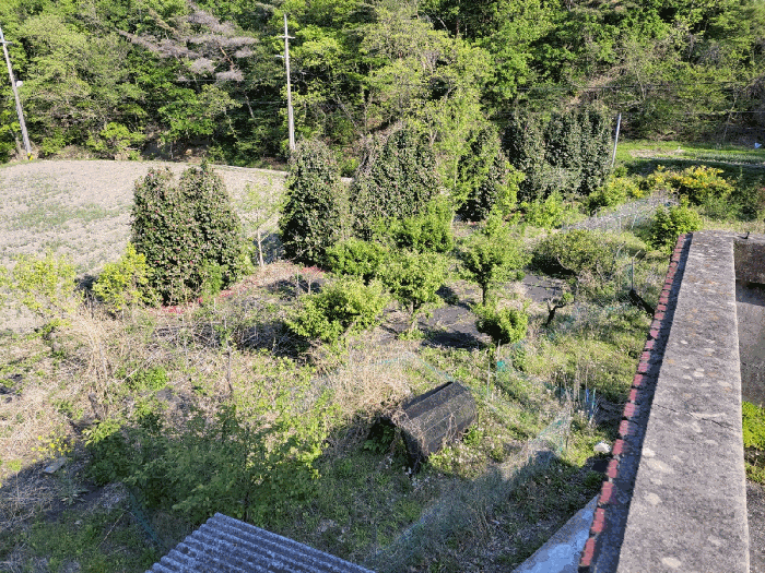 물건 사진 19