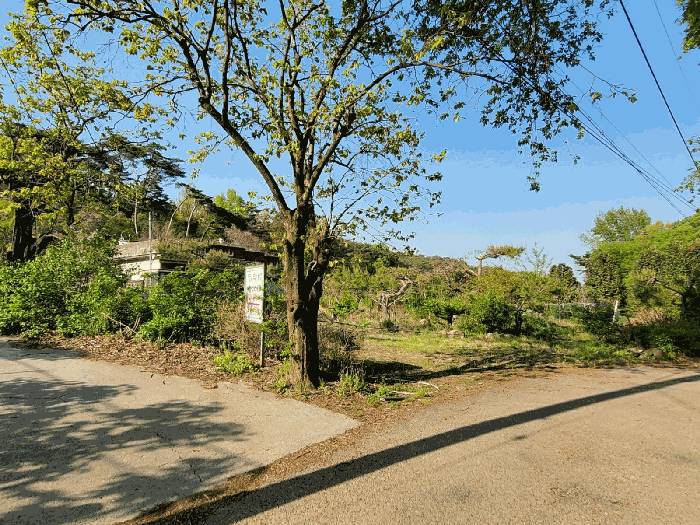 물건 사진 21