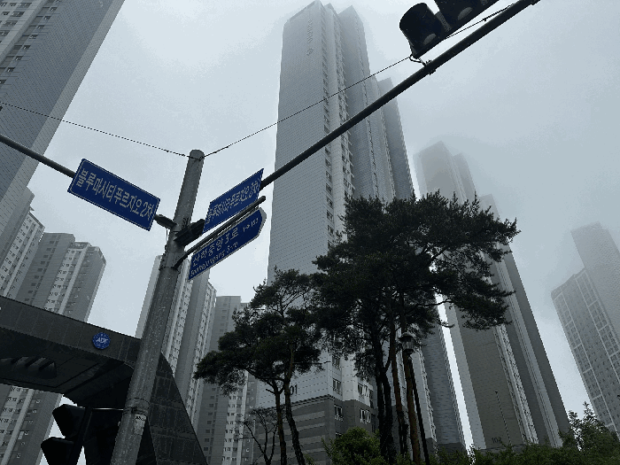 물건 사진 11