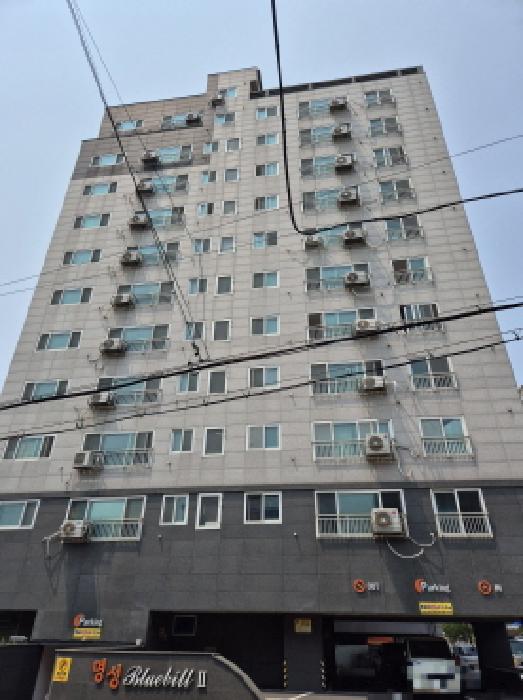 물건 사진 1