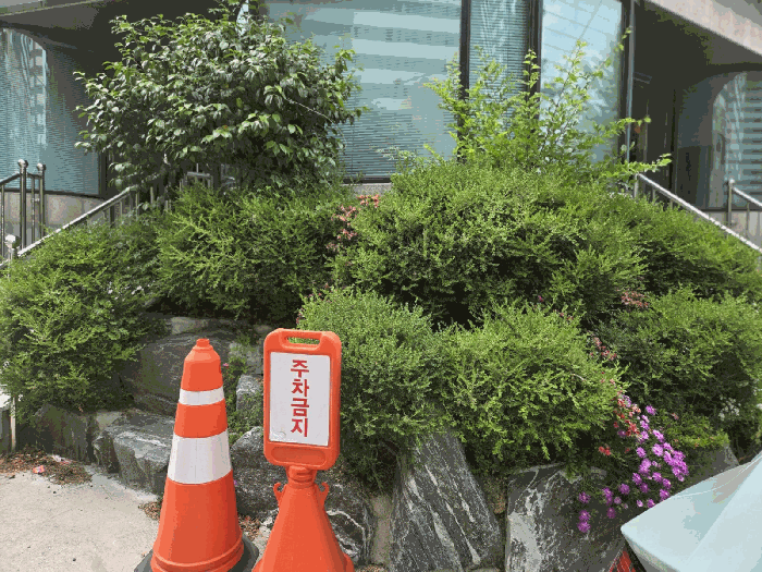 물건 사진 19