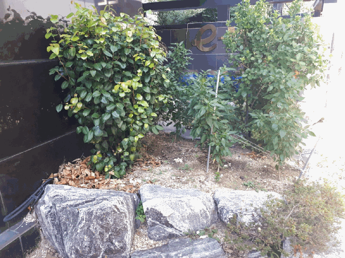 물건 사진 10