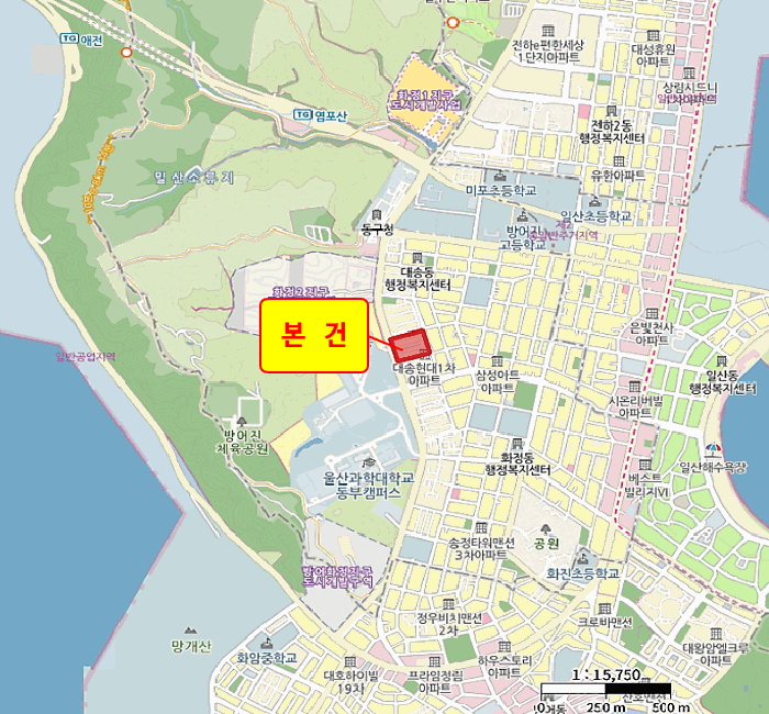물건 사진 7