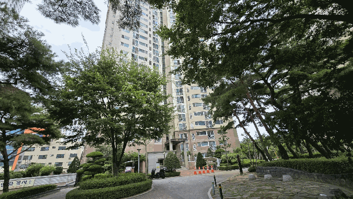물건 사진 7