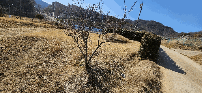 물건 사진 16