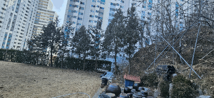 물건 사진 21