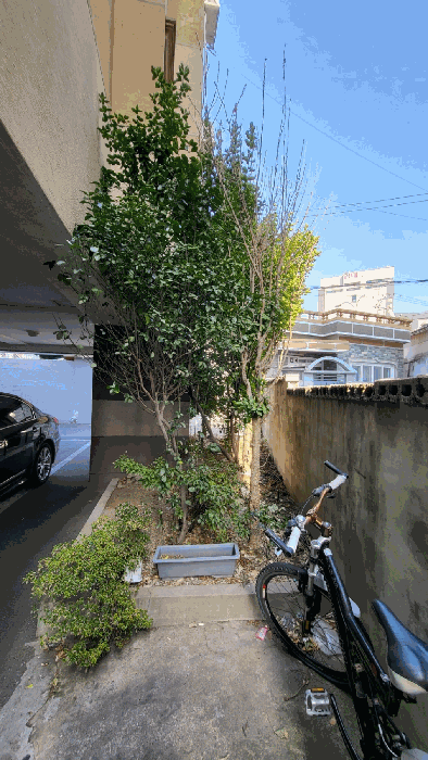 물건 사진 15