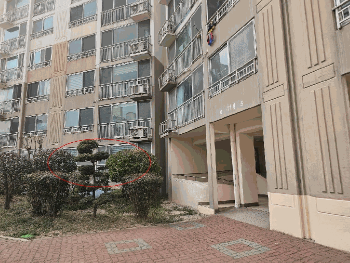 물건 사진 6