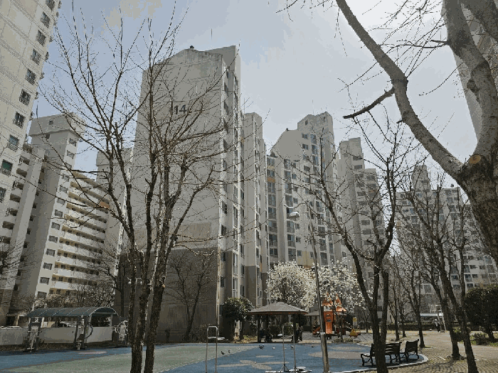 물건 사진 7