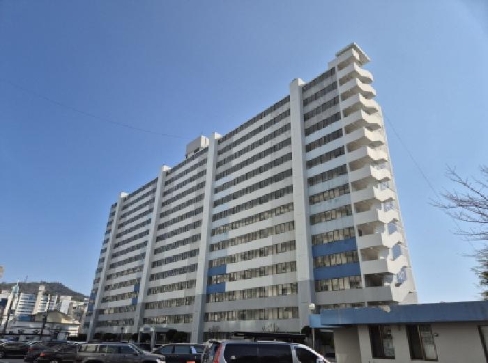 물건 사진 1